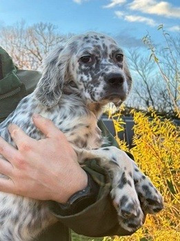 Araya de la borde d'araya