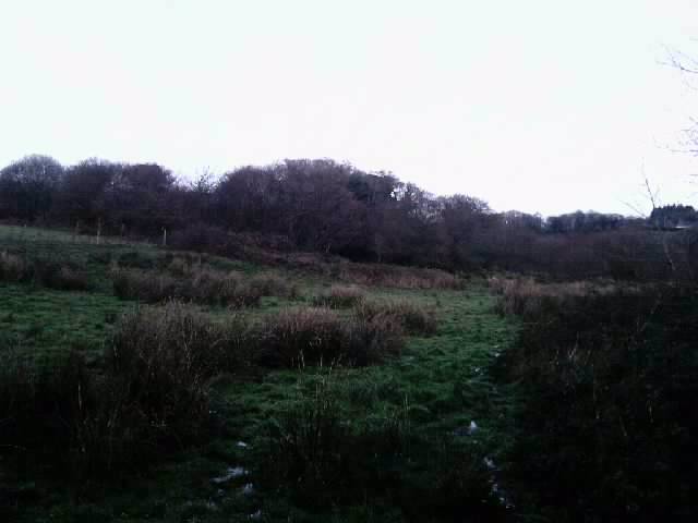 Chasse en Bretagne 2009