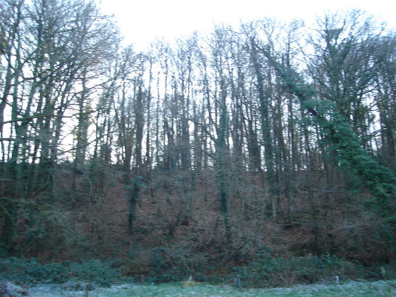 Chasse en Bretagne 2008